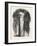 Old Egyptian Lady's Wig, in the British Museum, Egypt, 1879-null-Framed Giclee Print