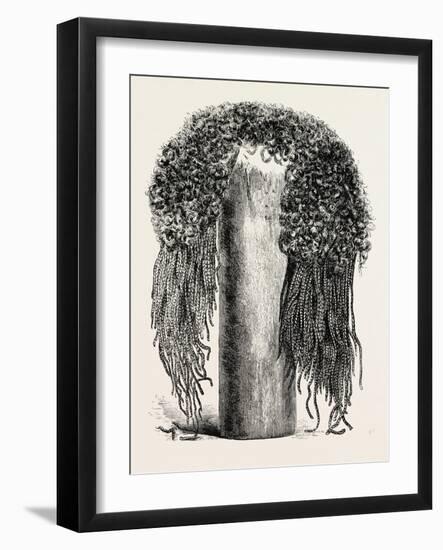 Old Egyptian Lady's Wig, in the British Museum, Egypt, 1879-null-Framed Giclee Print