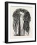 Old Egyptian Lady's Wig, in the British Museum, Egypt, 1879-null-Framed Giclee Print