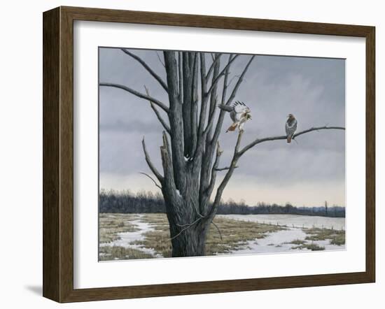 Old Elm and Redtails-Wilhelm Goebel-Framed Giclee Print