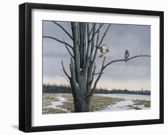 Old Elm and Redtails-Wilhelm Goebel-Framed Giclee Print