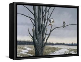 Old Elm and Redtails-Wilhelm Goebel-Framed Stretched Canvas