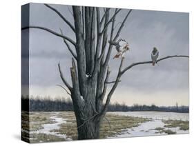 Old Elm and Redtails-Wilhelm Goebel-Stretched Canvas