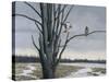 Old Elm and Redtails-Wilhelm Goebel-Stretched Canvas
