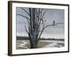 Old Elm and Redtails-Wilhelm Goebel-Framed Giclee Print