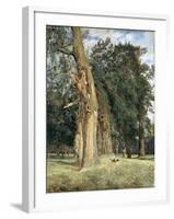 Old Elms in Prater, 1831-Ferdinand Georg Waldmuller-Framed Giclee Print