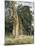 Old Elms in Prater, 1831-Ferdinand Georg Waldmuller-Mounted Giclee Print