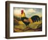 Old English Game Cock-Porter Design-Framed Giclee Print