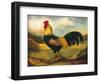 Old English Game Cock-Porter Design-Framed Giclee Print