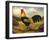 Old English Game Cock-Porter Design-Framed Premium Giclee Print