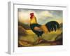 Old English Game Cock-Porter Design-Framed Premium Giclee Print