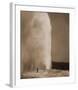 Old Faithful, 1870-William Henry Jackson-Framed Art Print