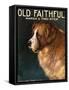 Old Faithful Dogs, USA, 1910-null-Framed Stretched Canvas