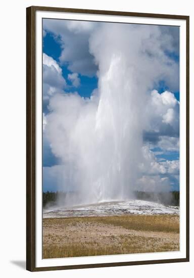 Old Faithful erupts Yellowstone-null-Framed Premium Giclee Print