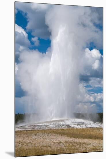 Old Faithful erupts Yellowstone-null-Mounted Premium Giclee Print