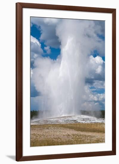 Old Faithful erupts Yellowstone-null-Framed Premium Giclee Print