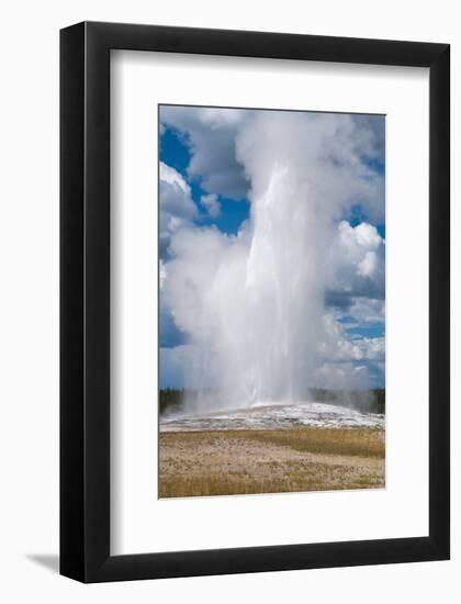Old Faithful erupts Yellowstone-null-Framed Art Print
