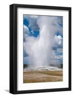 Old Faithful erupts Yellowstone-null-Framed Art Print