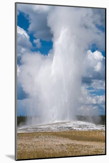 Old Faithful erupts Yellowstone-null-Mounted Art Print