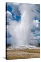 Old Faithful erupts Yellowstone-null-Stretched Canvas