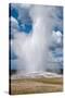 Old Faithful erupts Yellowstone-null-Stretched Canvas