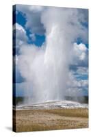 Old Faithful erupts Yellowstone-null-Stretched Canvas