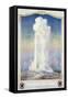 Old Faithful Geyser at Yellowstone Park Poster-null-Framed Stretched Canvas