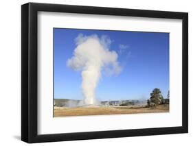 Old Faithful Geyser Blowing, Yellowstone National Park, Wyoming, USA-Mark Taylor-Framed Photographic Print