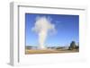 Old Faithful Geyser Blowing, Yellowstone National Park, Wyoming, USA-Mark Taylor-Framed Photographic Print