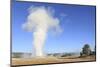 Old Faithful Geyser Blowing, Yellowstone National Park, Wyoming, USA-Mark Taylor-Mounted Photographic Print