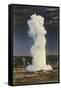 Old Faithful Geyser by Moonlight, Yellowstone National Park-null-Framed Stretched Canvas