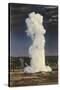 Old Faithful Geyser by Moonlight, Yellowstone National Park-null-Stretched Canvas