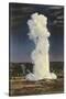 Old Faithful Geyser by Moonlight, Yellowstone National Park-null-Stretched Canvas