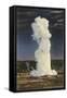 Old Faithful Geyser by Moonlight, Yellowstone National Park-null-Framed Stretched Canvas