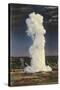 Old Faithful Geyser by Moonlight, Yellowstone National Park-null-Stretched Canvas