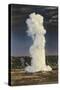 Old Faithful Geyser by Moonlight, Yellowstone National Park-null-Stretched Canvas