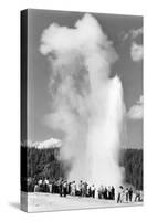 Old Faithful Geyser Crowd Yellowstone National Park Photograph - Yellowstone, WY-Lantern Press-Stretched Canvas