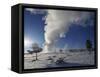 Old Faithful Geyser Erupting in Winter-W. Perry Conway-Framed Stretched Canvas