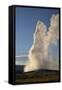 Old Faithful Geyser Erupting, Yellowstone National Park, UNESCO World Heritage Site, Wyoming, USA-Peter Barritt-Framed Stretched Canvas