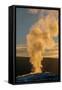 Old Faithful Geyser Eruption, Yellowstone National Park, Wyoming, Usa.-Roddy Scheer-Framed Stretched Canvas