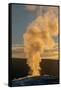 Old Faithful Geyser Eruption, Yellowstone National Park, Wyoming, Usa.-Roddy Scheer-Framed Stretched Canvas