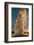 Old Faithful Geyser Eruption, Yellowstone National Park, Wyoming, Usa.-Roddy Scheer-Framed Photographic Print