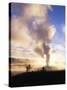 Old Faithful Geyser, Yellowstone National Park, Wyoming, USA-Adam Jones-Stretched Canvas