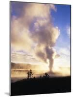 Old Faithful Geyser, Yellowstone National Park, Wyoming, USA-Adam Jones-Mounted Photographic Print
