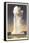 Old Faithful Geyser, Yellowstone-null-Framed Stretched Canvas