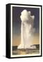 Old Faithful Geyser, Yellowstone-null-Framed Stretched Canvas