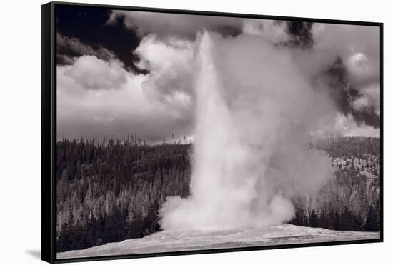 Old Faithful Yellowstone BW-Steve Gadomski-Framed Stretched Canvas