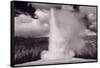 Old Faithful Yellowstone BW-Steve Gadomski-Framed Stretched Canvas