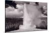 Old Faithful Yellowstone BW-Steve Gadomski-Stretched Canvas