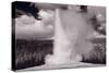 Old Faithful Yellowstone BW-Steve Gadomski-Stretched Canvas